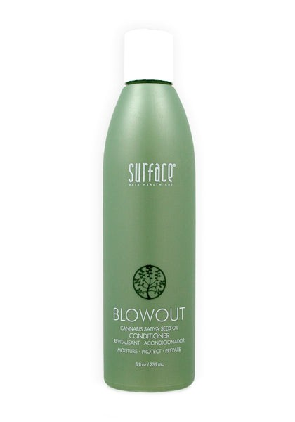 Blowout Conditioner