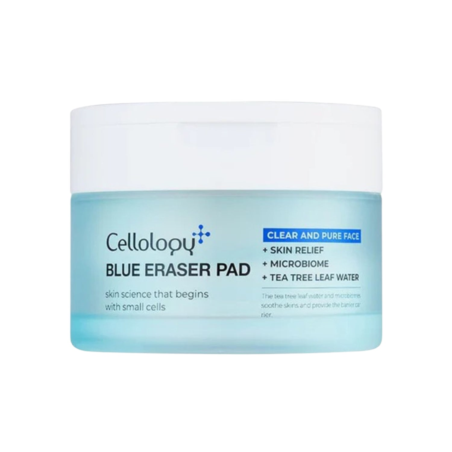 Blue Eraser Pad